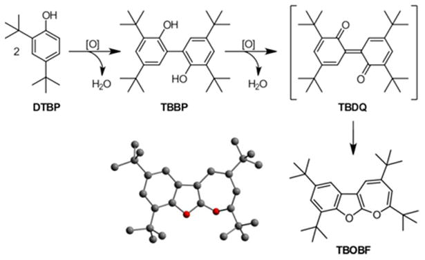 Scheme 7