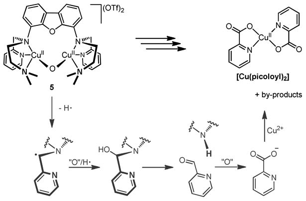 Scheme 6