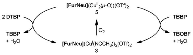 Scheme 8