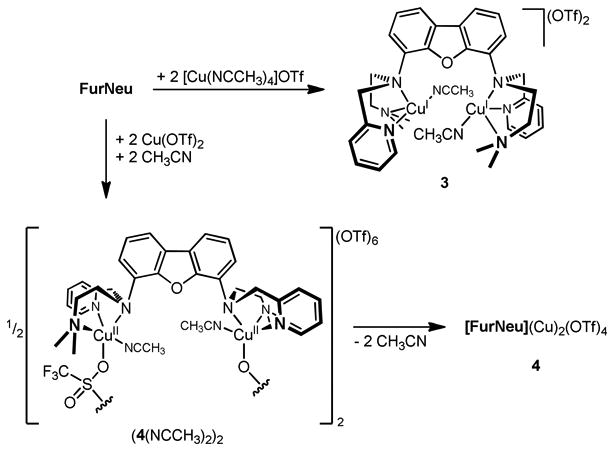 Scheme 4