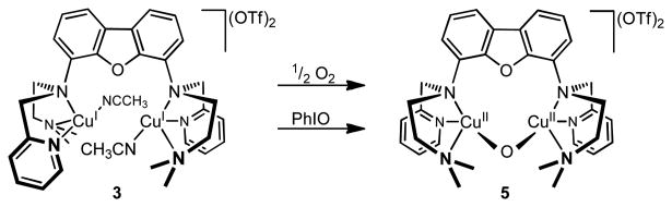 Scheme 5