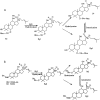 Fig. 2