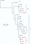 FIG. 3