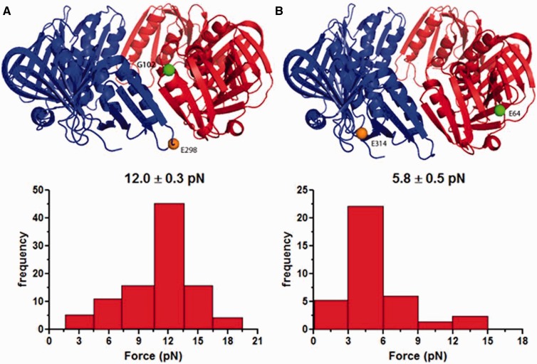 Figure 4.