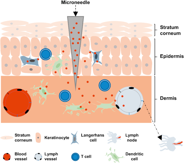 Figure 3