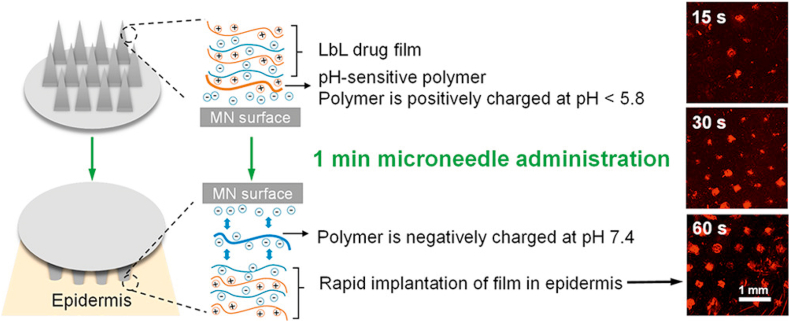 Figure 4