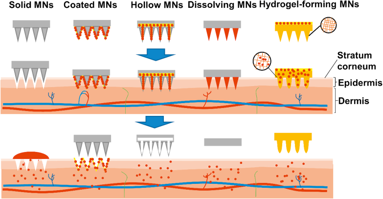 Figure 2