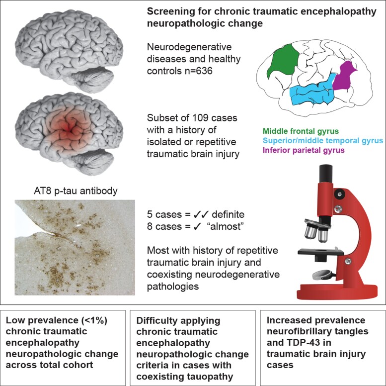 Graphical Abstract