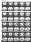 FIG. 7