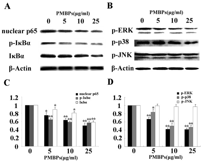 Fig 8