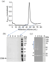 FIGURE 3