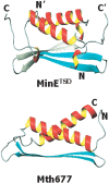 Figure 5.
