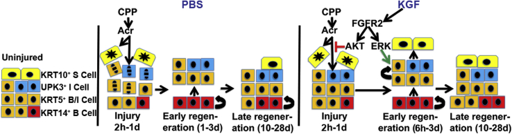 Figure 10