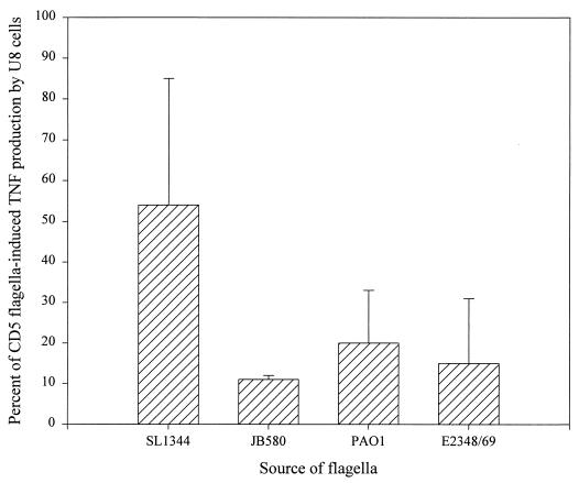 FIG. 1