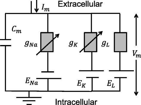 Fig. 3