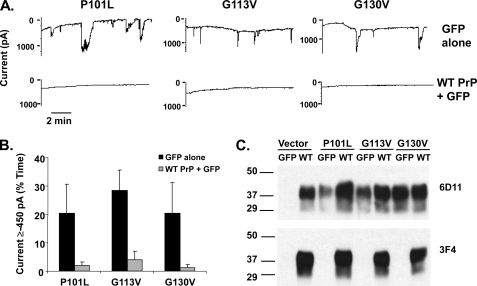 FIGURE 6.