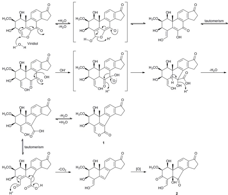 Scheme 2