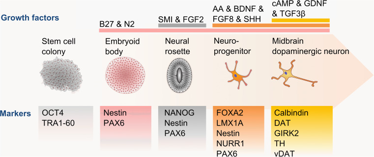 Fig. 2