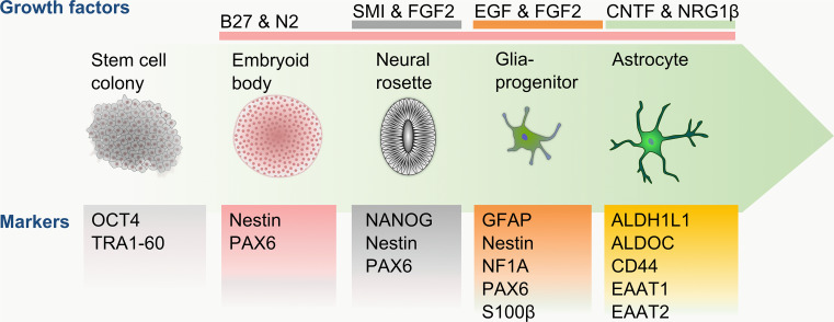 Fig. 3