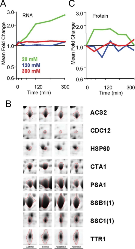 Figure 6.