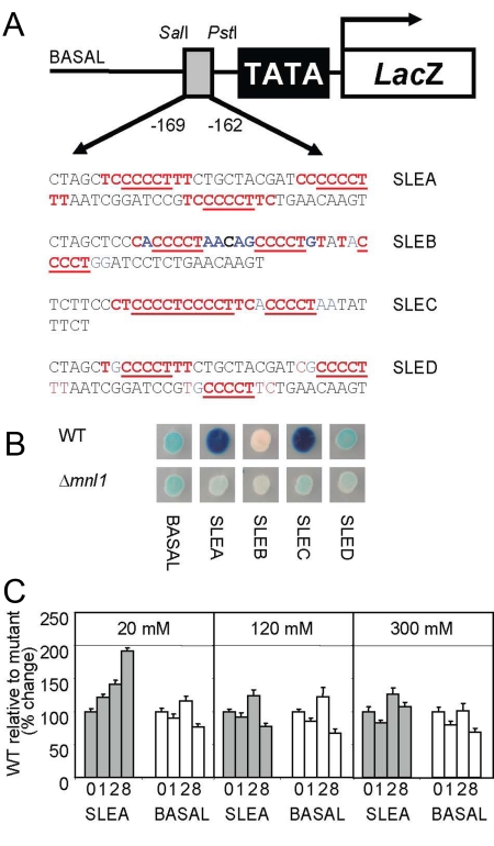 Figure 4.