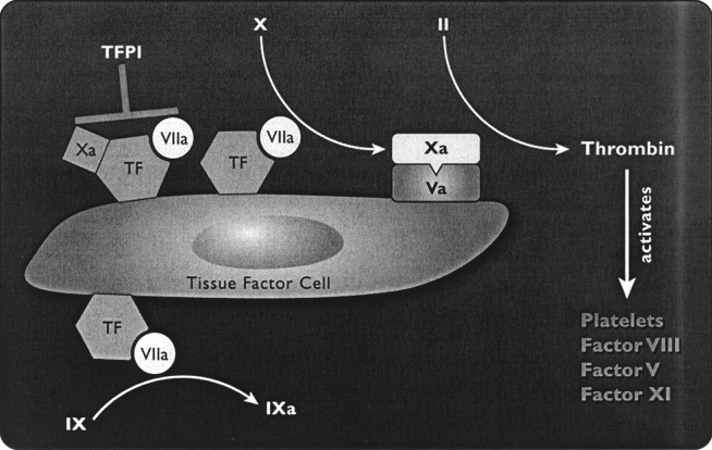 Fig. 2