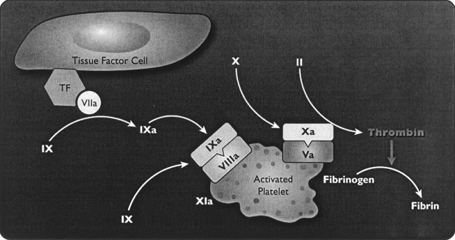 Fig. 3