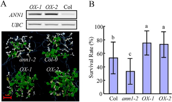 Fig. 6.