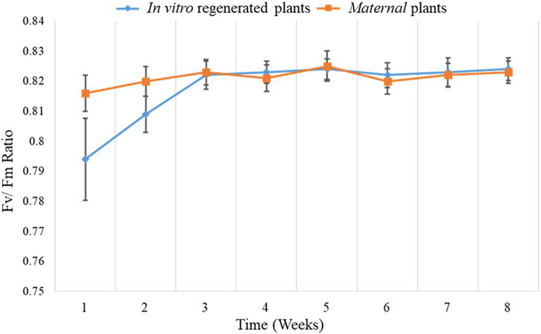 FIGURE 3