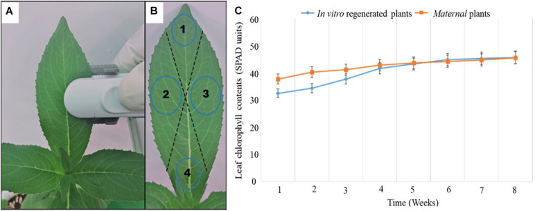 FIGURE 2