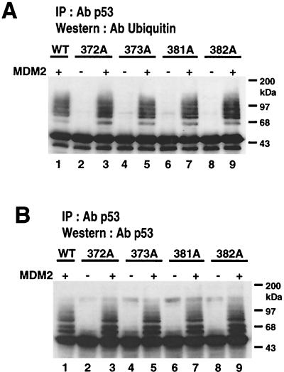 FIG. 6