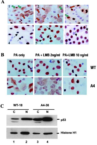 FIG. 8