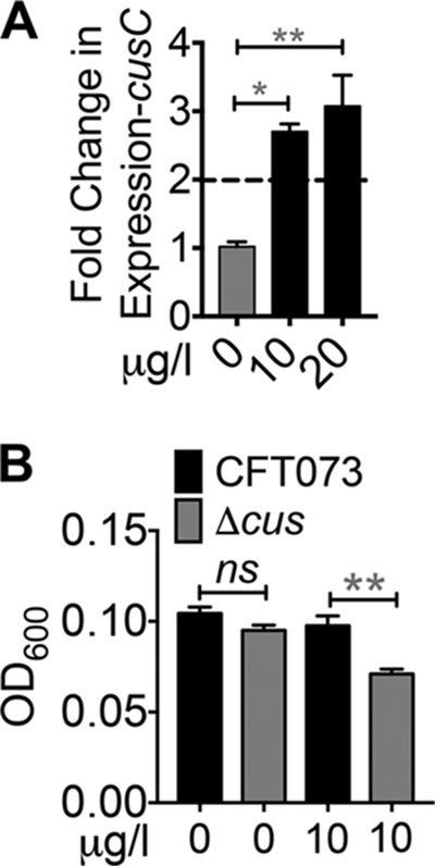 FIG 4