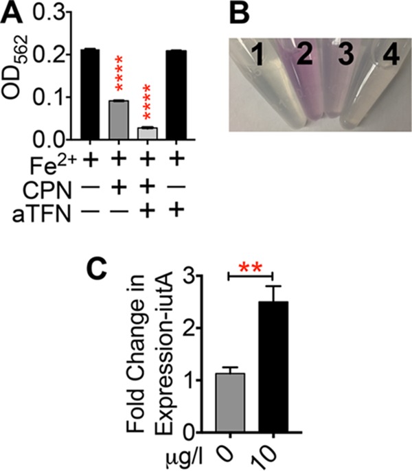 FIG 6