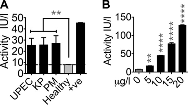 FIG 5