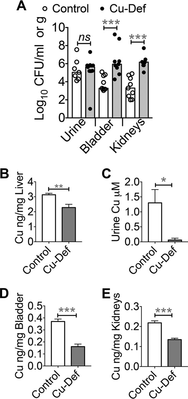 FIG 10