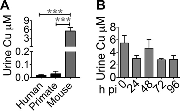 FIG 7