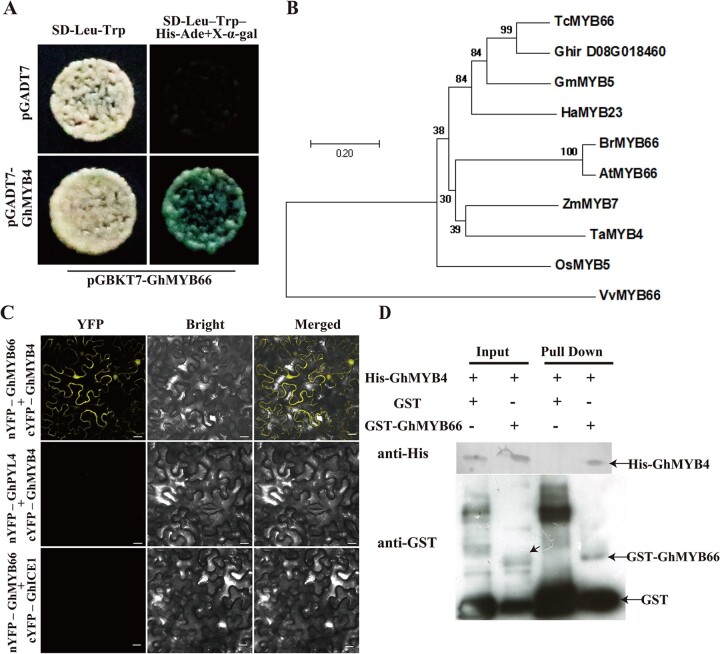 Figure 5