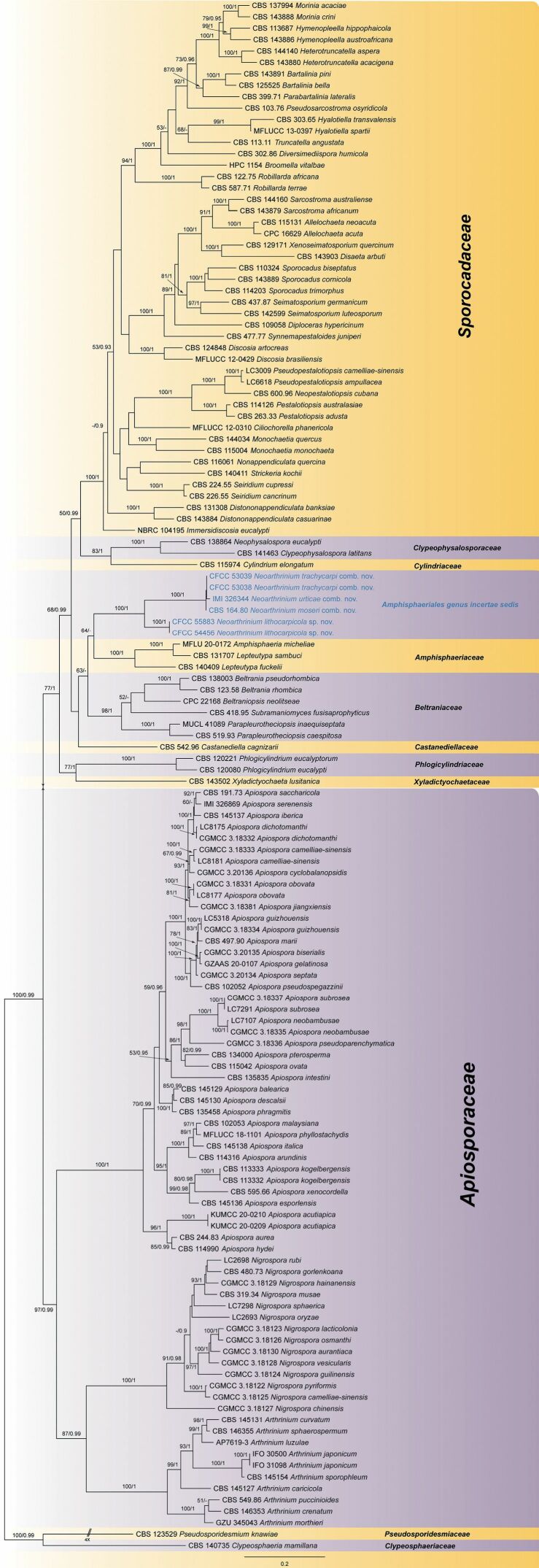 Figure 1.