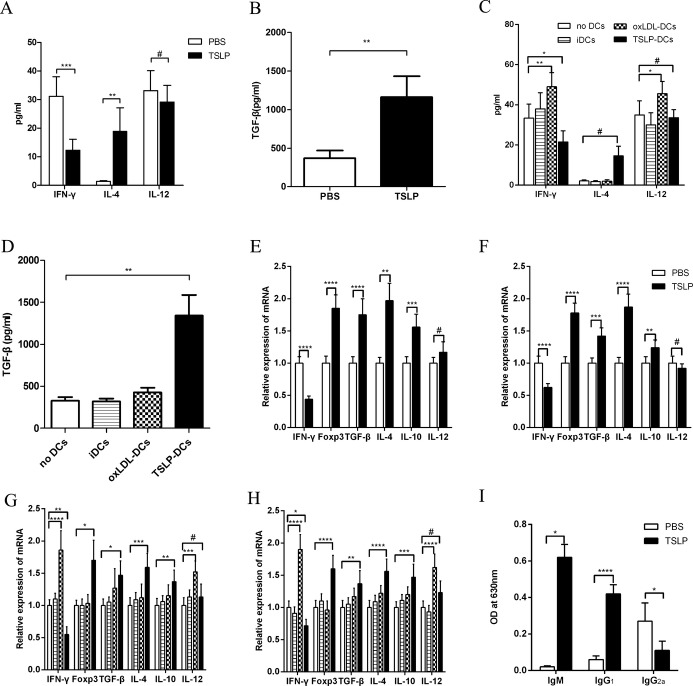 Figure 10.