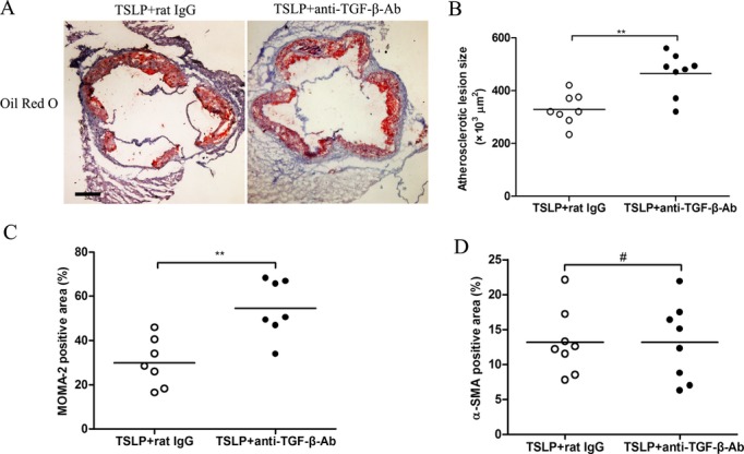 Figure 11.