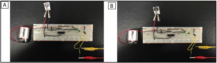 Figure 6