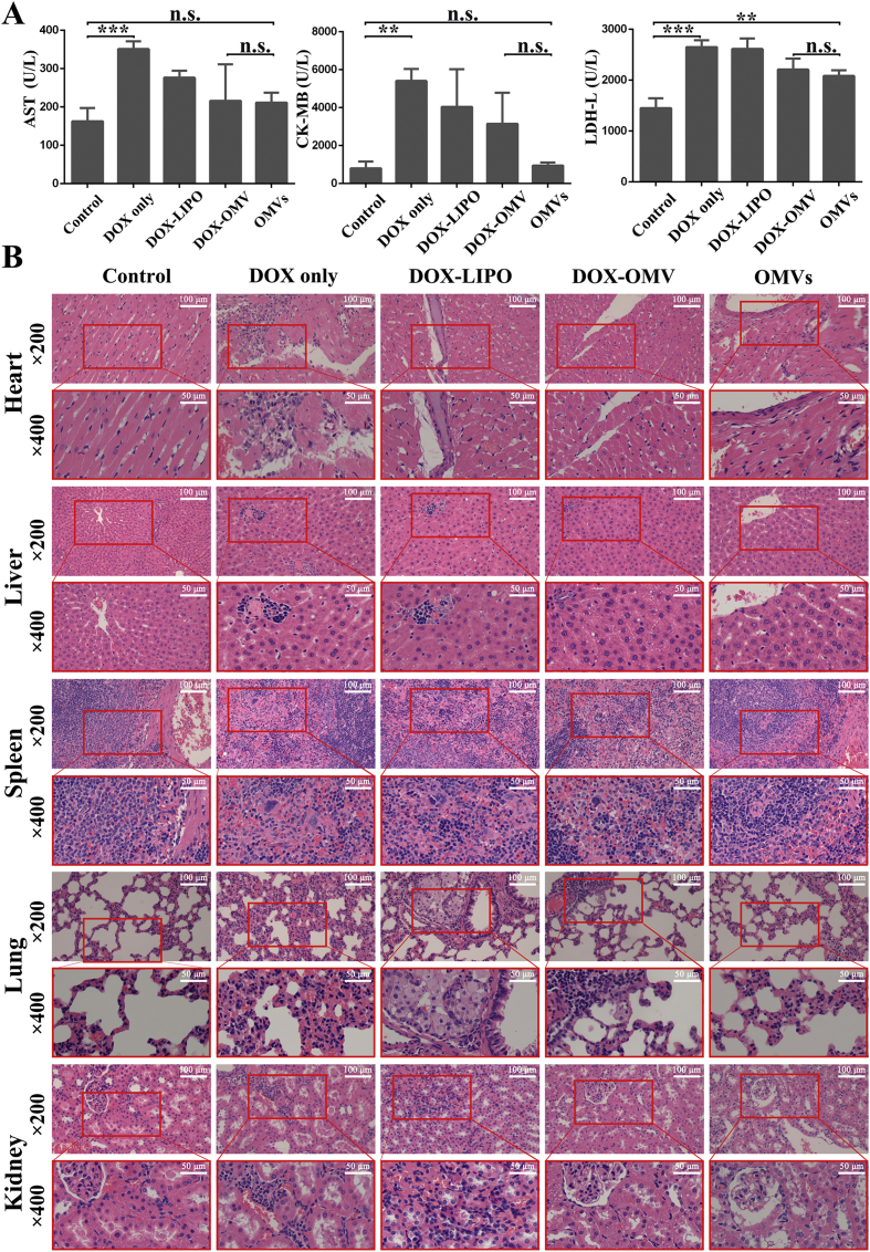 Figure 6