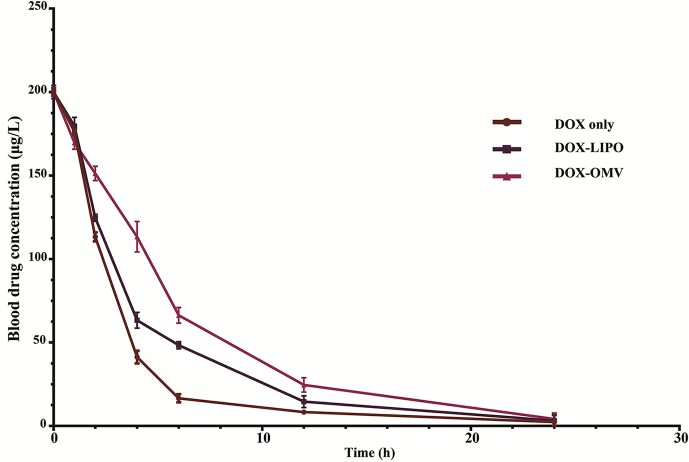 Figure 7