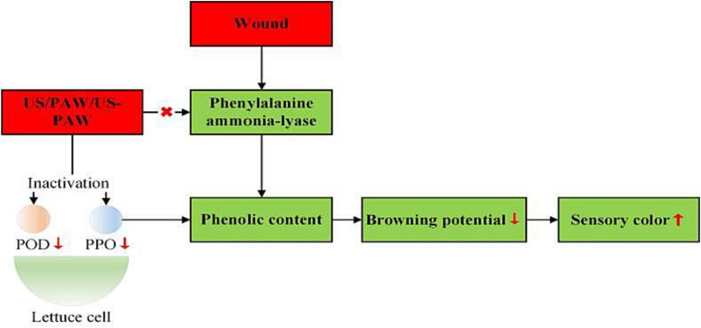 Fig. 5