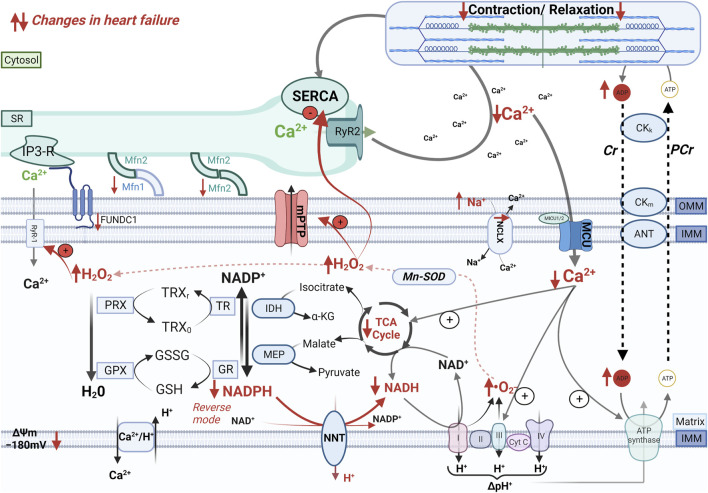 FIGURE 2