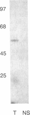 1482