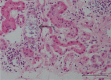 Fig 3.