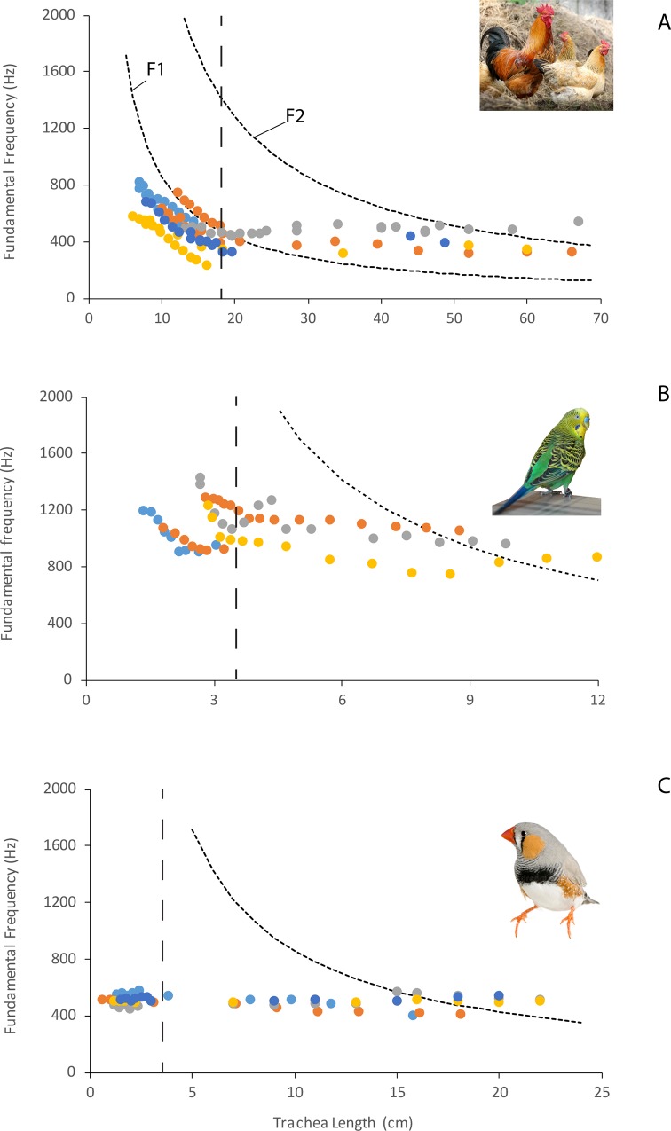 Fig 4