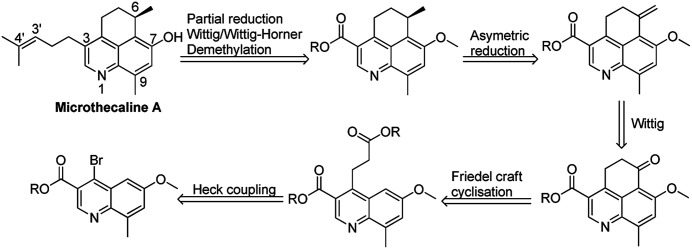 Scheme 1